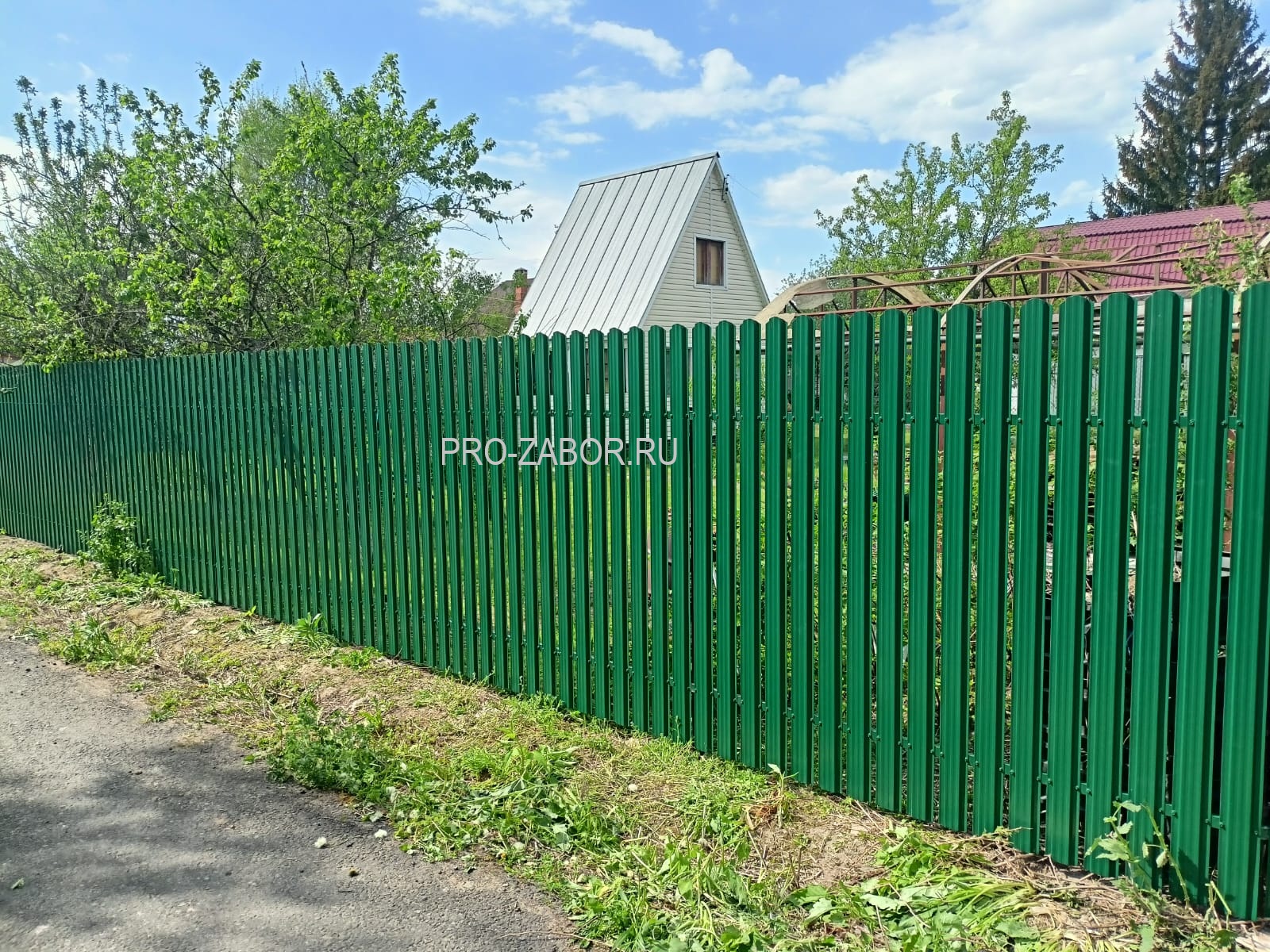 Zabor zelen vozle dorogi